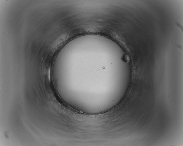 X0000103910019200809191313