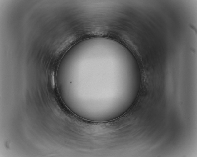 X0000103910020200809191313