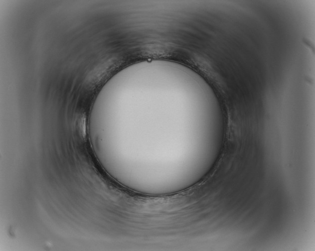 X0000103910021200809191313