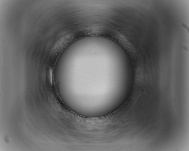 X0000103910022200809191313