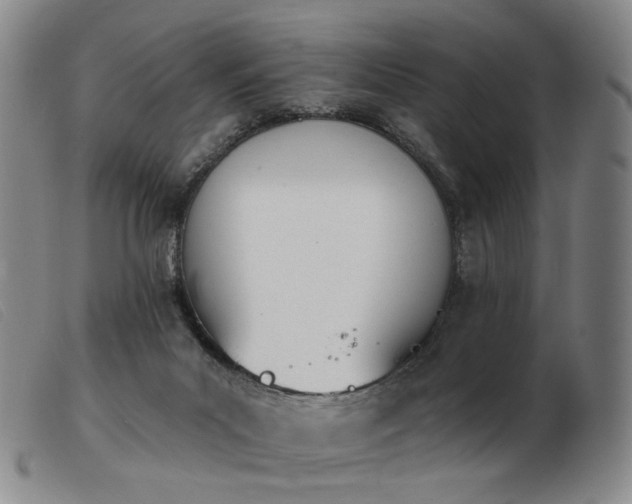 X0000103910023200809191313