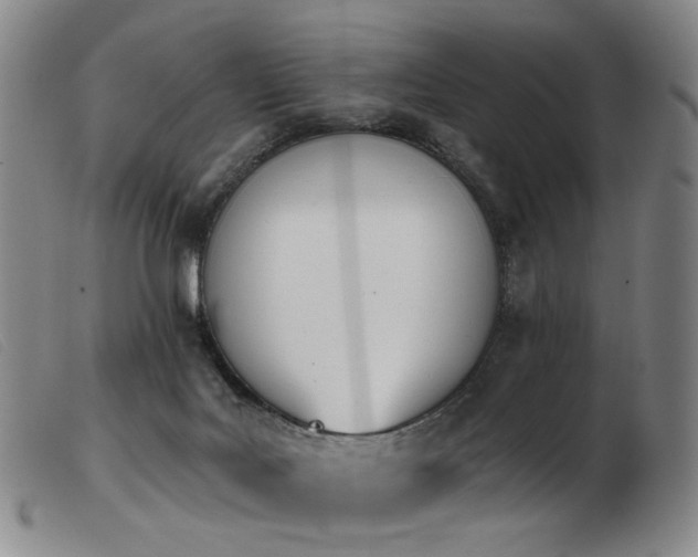 X0000103910027200809191312