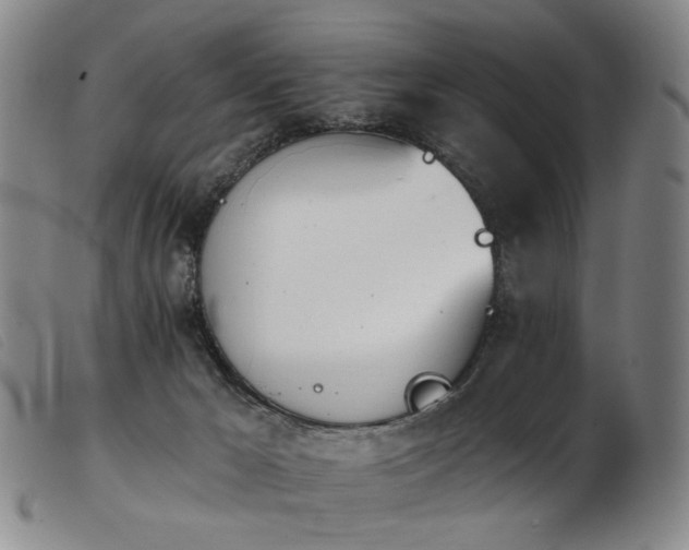 X0000103910029200809191312
