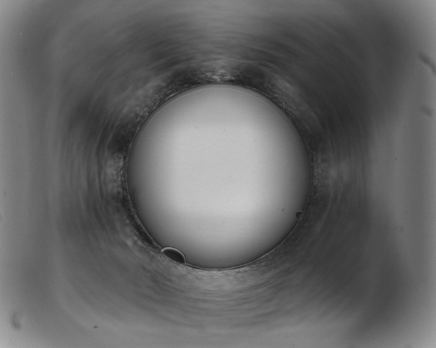 X0000103910030200809191312
