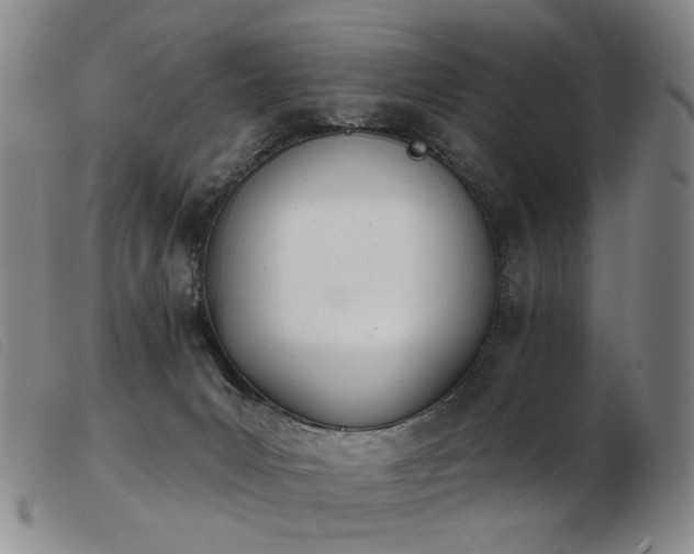 X0000103910031200809191312