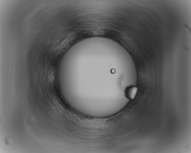 X0000103910032200809191312
