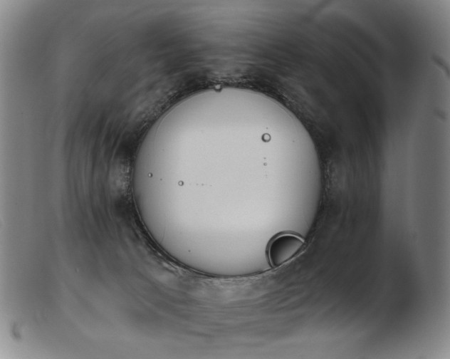 X0000103910033200809191312
