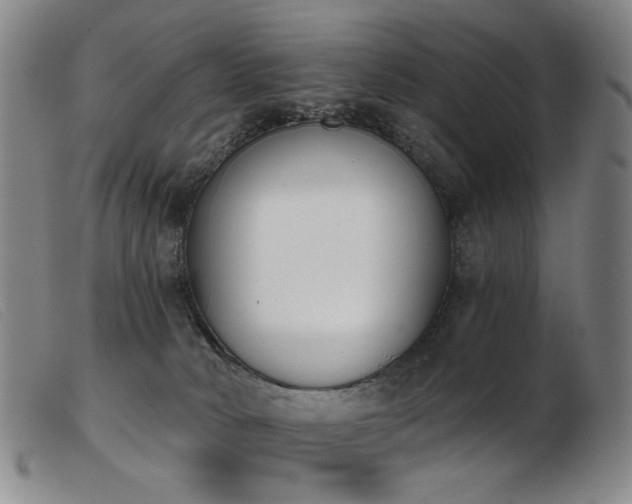 X0000103910034200809191312