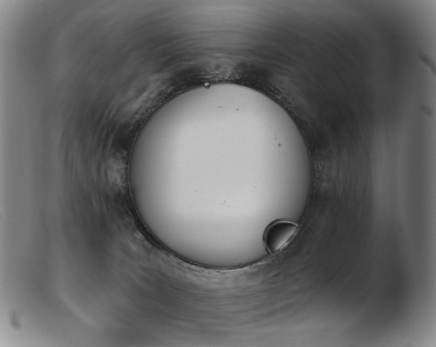 X0000103910035200809191312