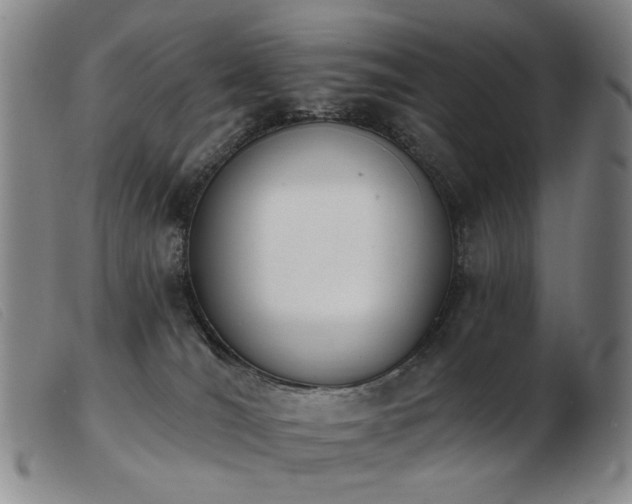 X0000103910036200809191312