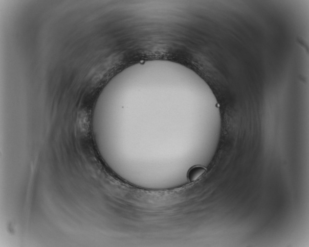 X0000103910037200809191312