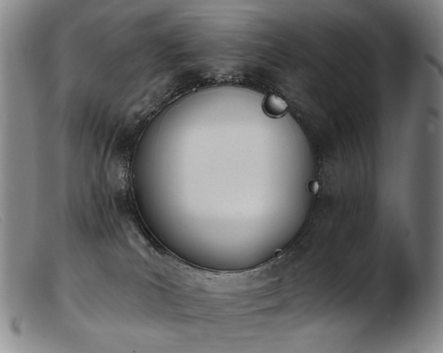 X0000103910039200809191312