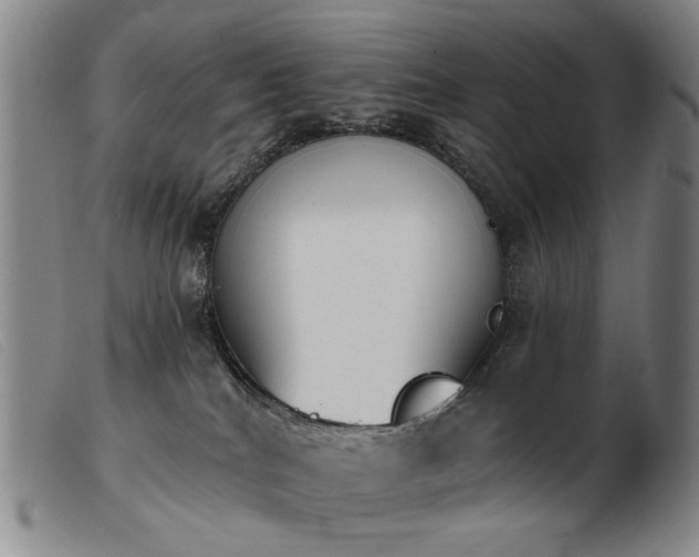 X0000103910040200809191312