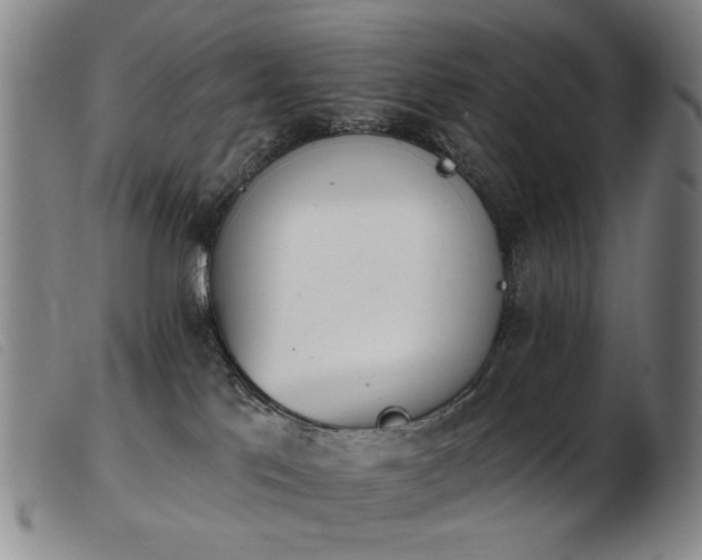 X0000103910041200809191312