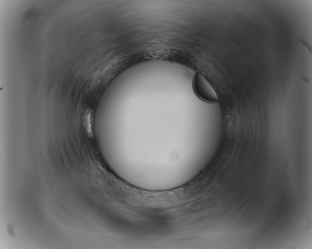 X0000103910042200809191312
