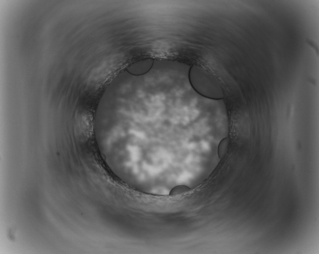 X0000103910043200809191312