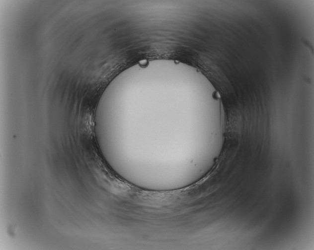 X0000103910045200809191312