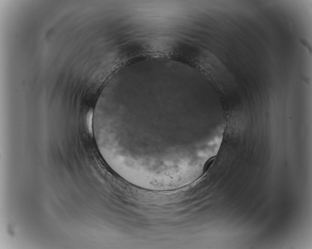 X0000103910047200809191312
