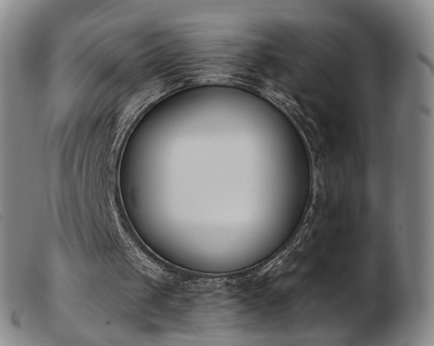 X0000103910049200809191311