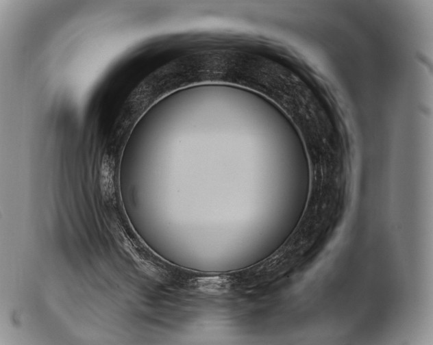 X0000103910050200809191311