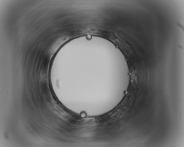 X0000103910052200809191311