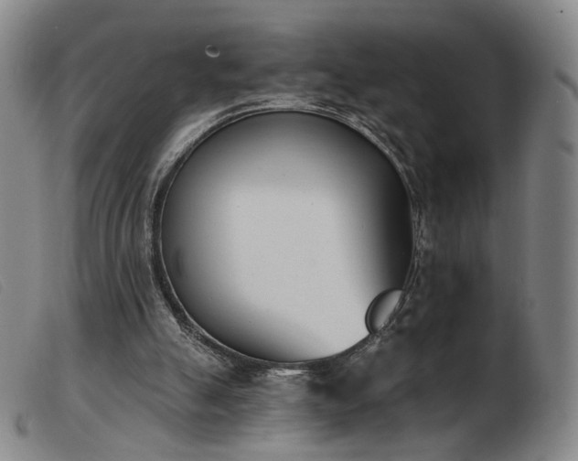 X0000103910055200809191311