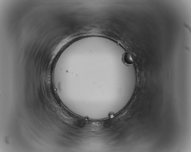 X0000103910056200809191311