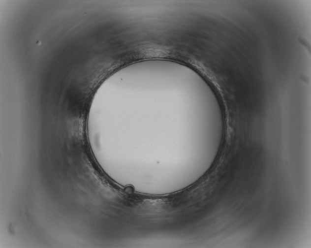 X0000103910057200809191311