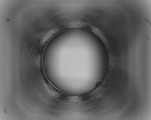 X0000103910058200809191311