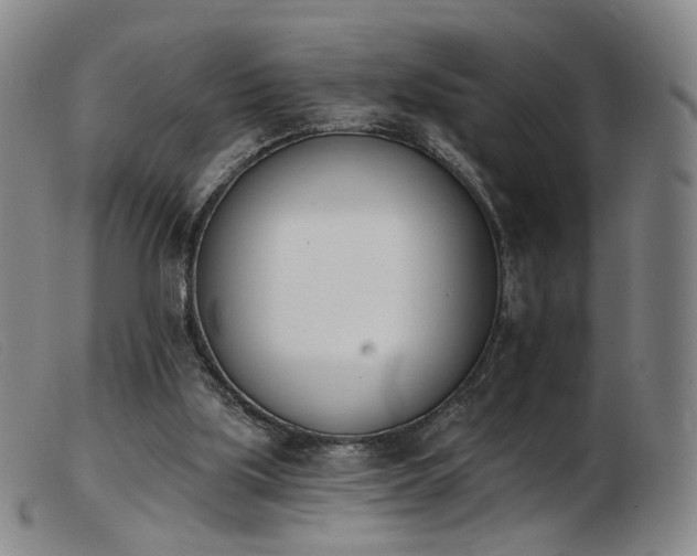X0000103910059200809191311