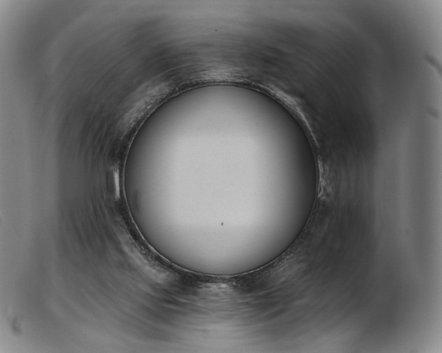 X0000103910061200809191311