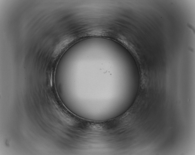 X0000103910062200809191311