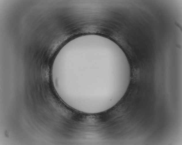 X0000103910064200809191312