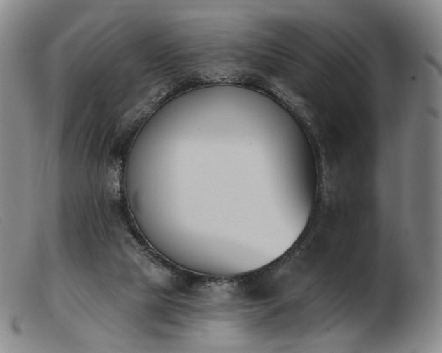 X0000103910065200809191312