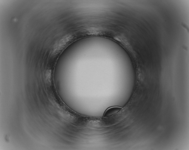 X0000103910066200809191312