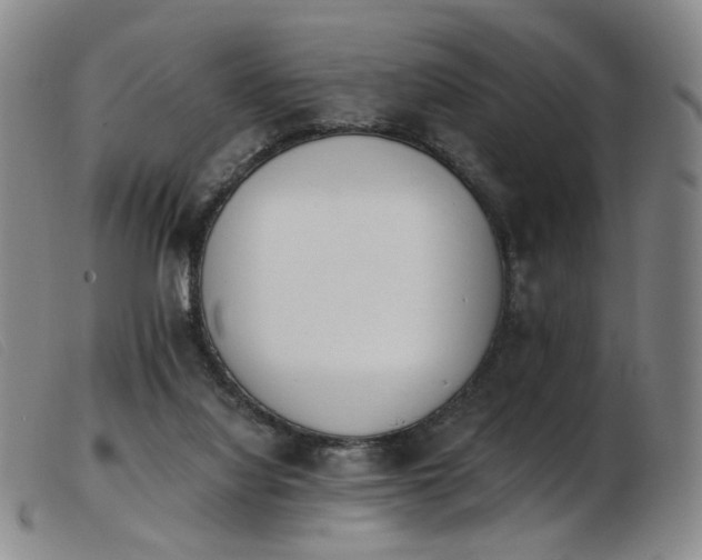 X0000103910068200809191312