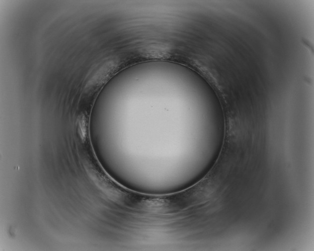 X0000103910069200809191312