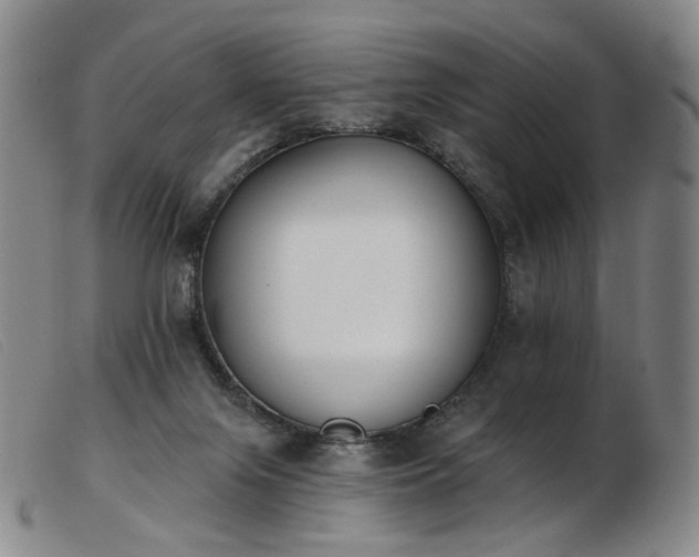 X0000103910071200809191312