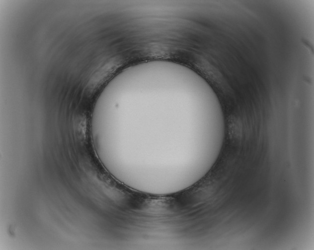 X0000103910072200809191312