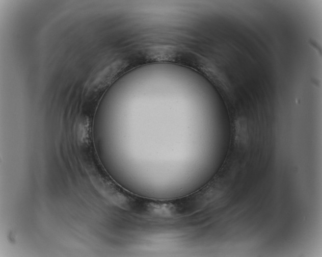 X0000103910073200809191312