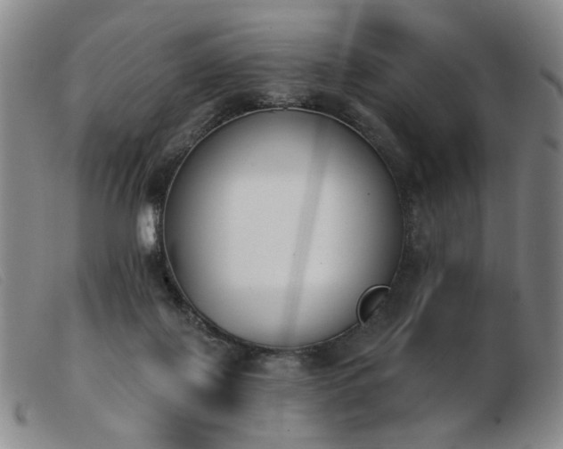 X0000103910075200809191312