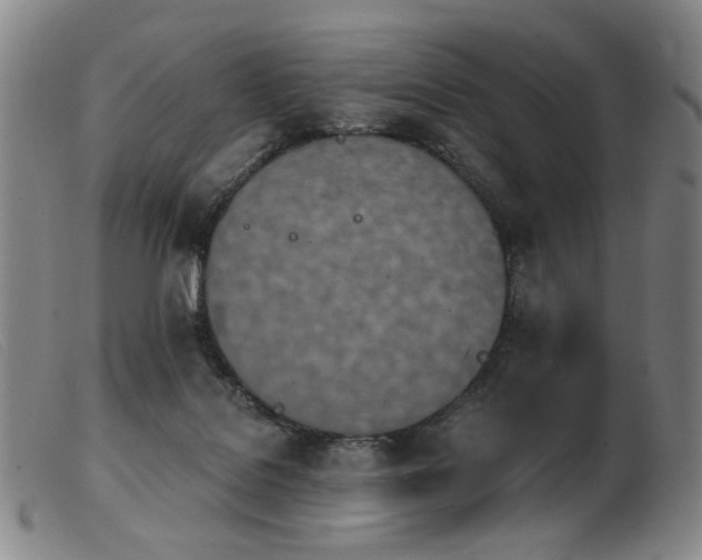 X0000103910076200809191312