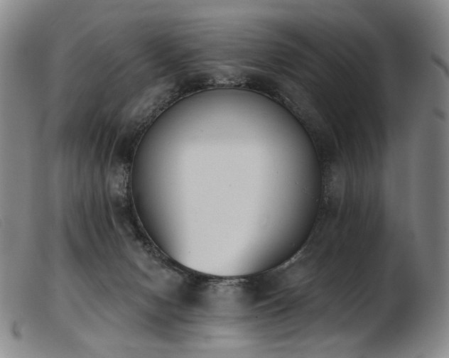 X0000103910078200809191312