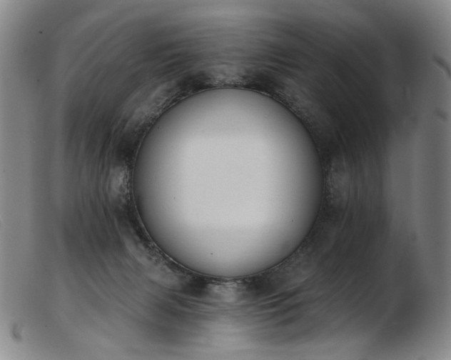 X0000103910079200809191312