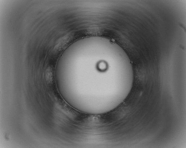 X0000103910080200809191312