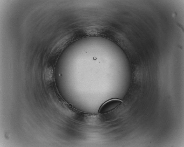 X0000103910081200809191312