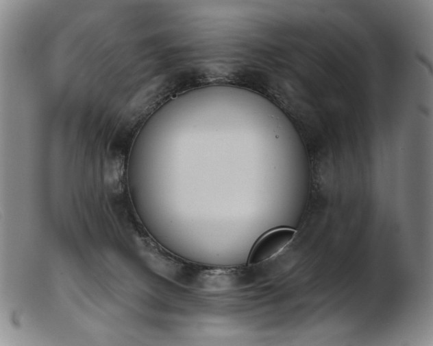 X0000103910082200809191312