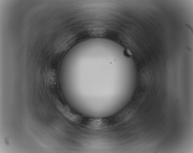 X0000103910083200809191312