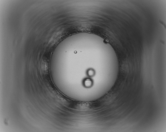 X0000103910084200809191312