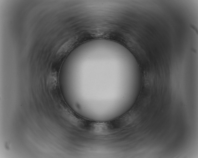 X0000103910085200809191312